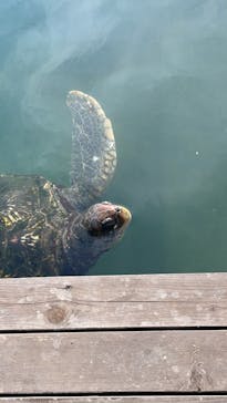 串本海中公園水族館に投稿された画像（2025/1/5）