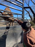 宇都宮動物園に投稿された画像（2025/1/5）