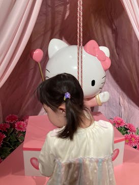 サンリオピューロランドに投稿された画像（2025/1/5）