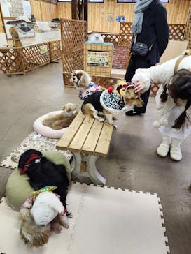 那須どうぶつ王国に投稿された画像（2025/1/5）