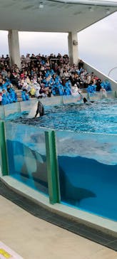 鴨川シーワールドに投稿された画像（2025/1/5）