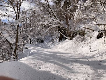 白神山地ガイドGURIに投稿された画像（2025/1/5）