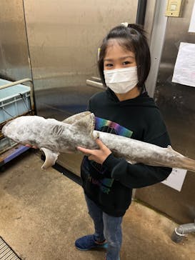 マクセル アクアパーク品川に投稿された画像（2025/1/5）