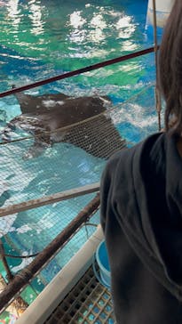 マクセル アクアパーク品川に投稿された画像（2025/1/5）