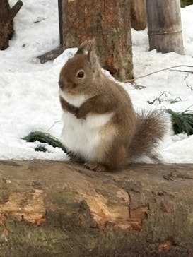 那須どうぶつ王国に投稿された画像（2025/1/5）