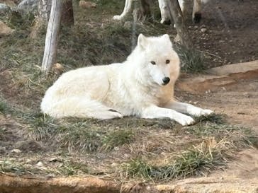 那須どうぶつ王国に投稿された画像（2025/1/5）