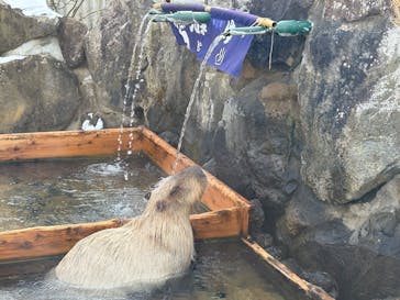 那須どうぶつ王国に投稿された画像（2025/1/5）