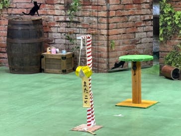 那須どうぶつ王国に投稿された画像（2025/1/5）