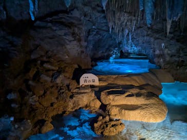 おきなわワールドに投稿された画像（2025/1/5）