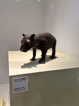 国立科学博物館に投稿された画像（2025/1/5）