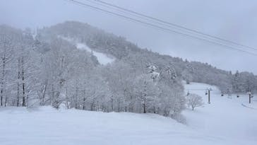 富良野スキー場に投稿された画像（2025/1/5）