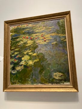 モネ 睡蓮のとき（国立西洋美術館）に投稿された画像（2025/1/5）