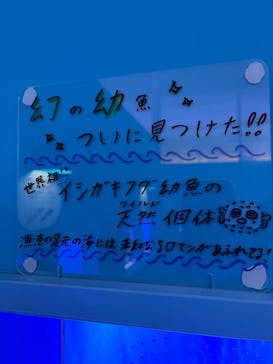 幼魚水族館に投稿された画像（2025/1/5）