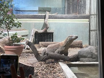 名古屋市東山動植物園に投稿された画像（2025/1/5）