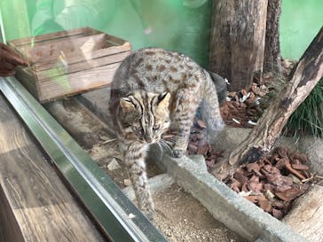 名古屋市東山動植物園に投稿された画像（2025/1/5）