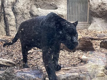 名古屋市東山動植物園に投稿された画像（2025/1/5）