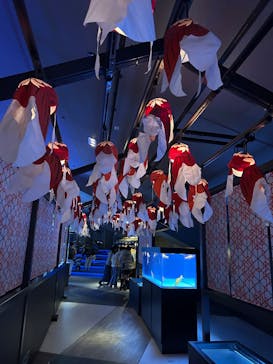 すみだ水族館に投稿された画像（2025/1/5）