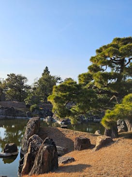 元離宮二条城に投稿された画像（2025/1/5）