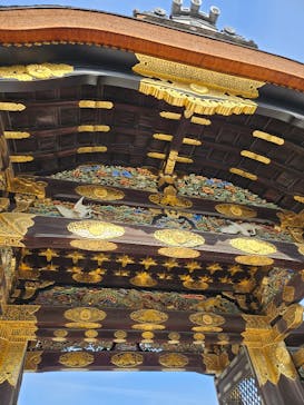 元離宮二条城に投稿された画像（2025/1/5）