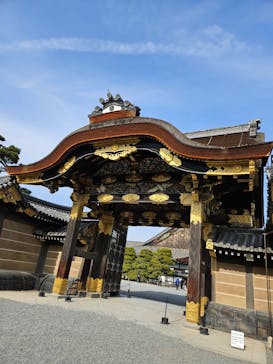 元離宮二条城に投稿された画像（2025/1/5）