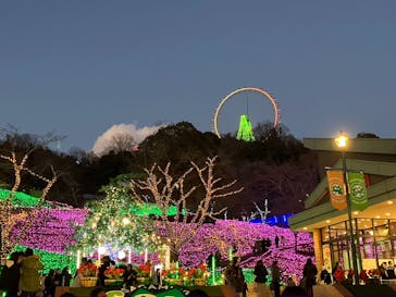 さがみ湖MORI MORIに投稿された画像（2025/1/5）