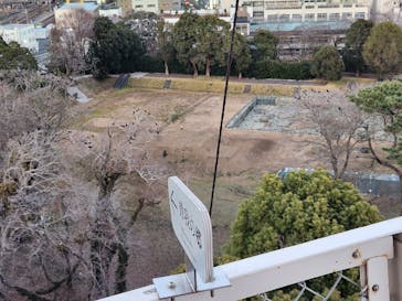 小田原城に投稿された画像（2025/1/5）