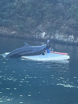 太地町立くじらの博物館に投稿された画像（2025/1/5）