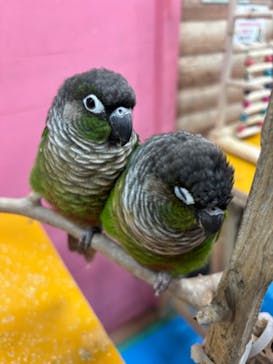 いきもの探検隊上尾に投稿された画像（2025/1/5）