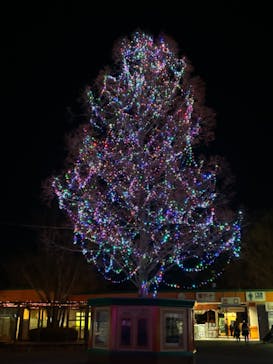 東武動物公園に投稿された画像（2025/1/5）
