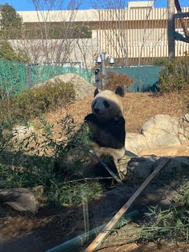 恩賜上野動物園に投稿された画像（2025/1/5）