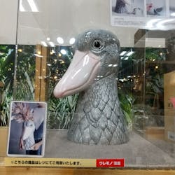 AQUARIUM × ART　atoa×神戸どうぶつ王国に投稿された画像（2025/1/5）