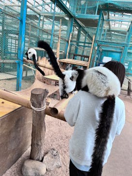 東北サファリパークに投稿された画像（2025/1/5）