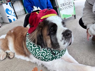 東北サファリパークに投稿された画像（2025/1/5）