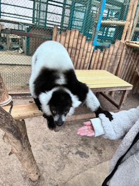 東北サファリパークに投稿された画像（2025/1/5）