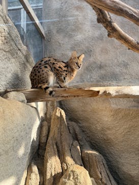 神戸どうぶつ王国に投稿された画像（2025/1/5）