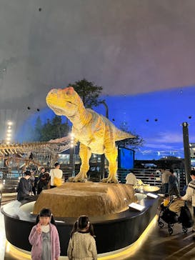 福井県立恐竜博物館に投稿された画像（2025/1/5）