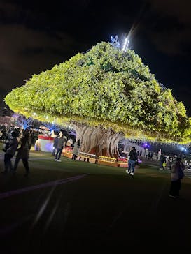 東京メガイルミに投稿された画像（2025/1/5）