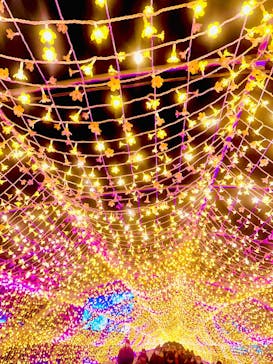 東京メガイルミに投稿された画像（2025/1/5）