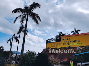 ナゴパイナップルパークに投稿された画像（2025/1/5）