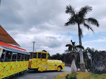 ナゴパイナップルパークに投稿された画像（2025/1/5）