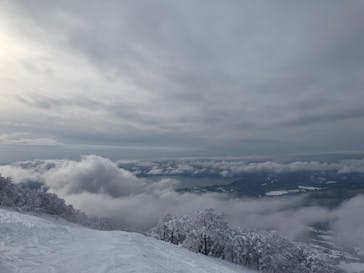 たざわ湖スキー場に投稿された画像（2025/1/5）