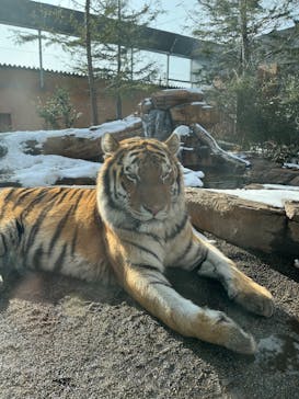 那須どうぶつ王国に投稿された画像（2025/1/5）