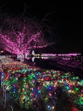 東武動物公園に投稿された画像（2025/1/5）