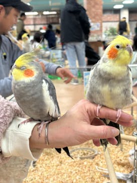 いきもの探検隊上尾に投稿された画像（2025/1/5）