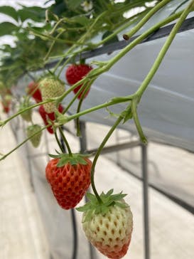 株式会社こまち野に投稿された画像（2025/1/5）