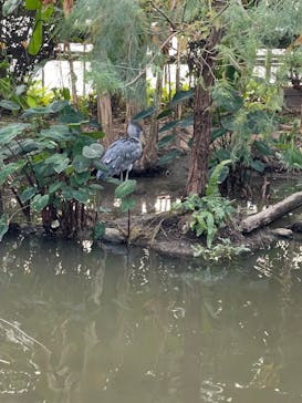 神戸どうぶつ王国に投稿された画像（2025/1/5）