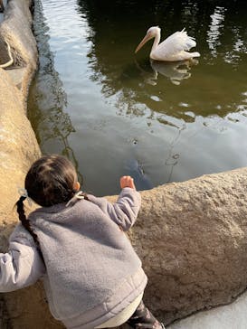 神戸どうぶつ王国に投稿された画像（2025/1/5）