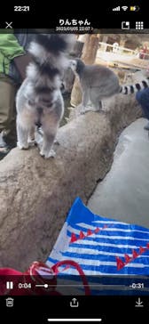 神戸どうぶつ王国に投稿された画像（2025/1/5）