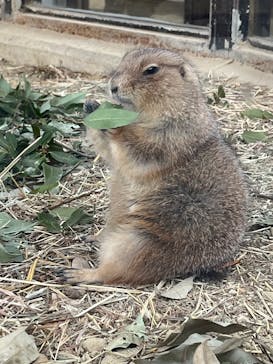 名古屋市東山動植物園に投稿された画像（2025/1/5）