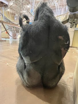 名古屋市東山動植物園に投稿された画像（2025/1/5）